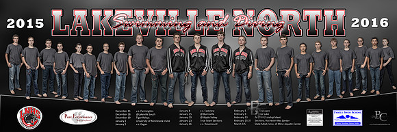 LNHS Swim Poster