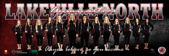 LNHS Gymnastics Poster