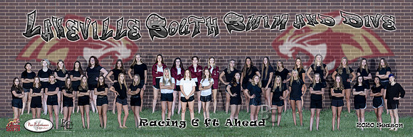 South Swim Poster-large