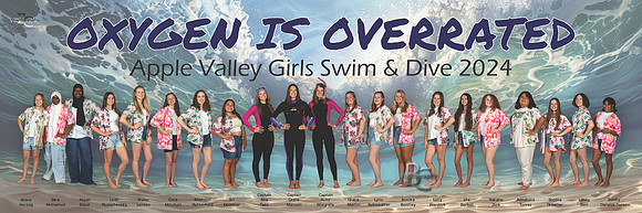 Apple Valley Girls Poster - 2024-02